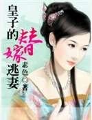 皇子的替嫁逃妻
